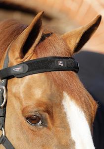 Premier Equine Magni-Teque Magnetic Browband