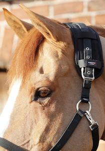 Premier Equine Magni-Teque Magnetic Poll Band