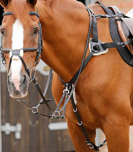 Black leather Five point breast plate and martingale. Full size