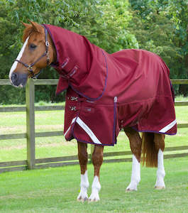 Internet only: Premier Equine Titan 50g Turnout Rug with Classic Neck Cover