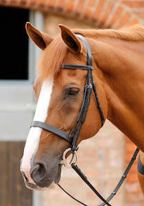 Premier Equine Primo Hunter Bridle