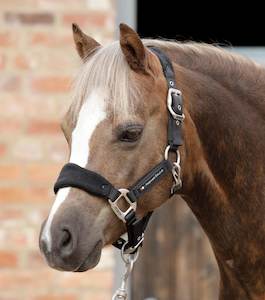 Internet only: Premier Equine Fleece Padded Pony Head Collar