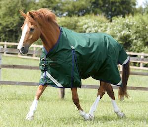 Premier Equine Buster Zero Original Turnout Rug (no neck rug)