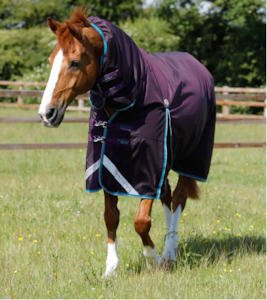 Internet only: Premier Equine Buster Storm 100g Combo Turnout Rug