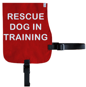 Rescue Dog In Training Cotton Vest - From Rocco & Co