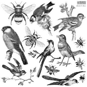 IOD Decor Stamp 30.5 x 30.5cm - Birds & Bees (with masks)