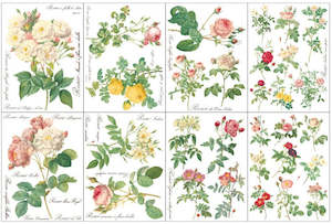 IOD Decor Transfer Pad 31 x 41cm - Rose Botanical (8 sheets)