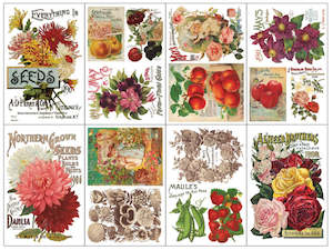 IOD Decor Transfer Pad 20 x 30.5cm  - Seed Catalogue (8 sheets)