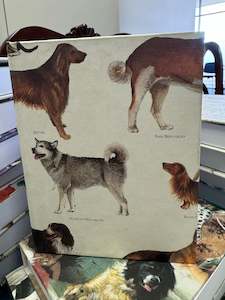 Homewares: Jotter Pad - Dog Breeds