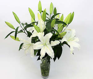 Classic Lilies In A Vase