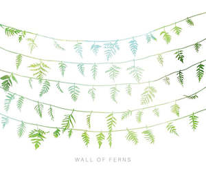 Florist: WALL OF FERNS GIFT CARD