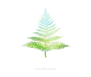 Silver Fern Gift Card