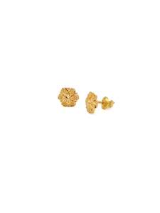 22ct Gold Stud Earrings