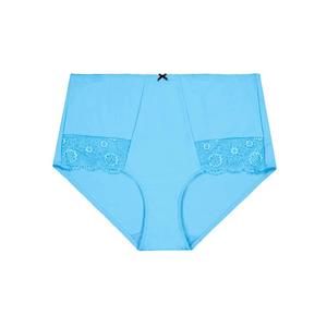 Lingerie: Alyssum Lace Full Brief - Lagoon Blue