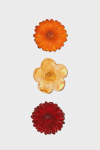 Gift: 3 Flowers - Orange Autumn