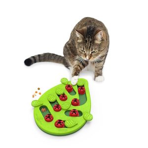 Outward Hound CAT Puzzle–Buggin Out