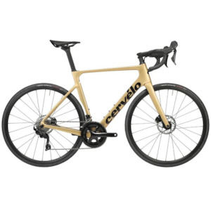 Bicycle and accessory: 2023 Cervelo Soloist 105 Gold Dust