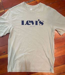 Clothing: LEVI'S® Relaxed Logo Tee 'Tea'