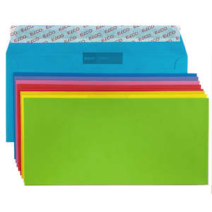 DLE Envelopes - Assorted 10pk