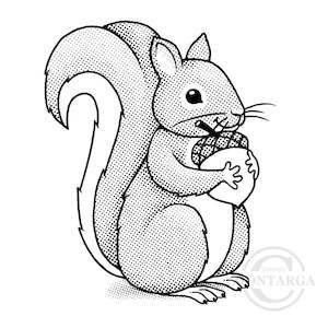 3610 F - Squirrel With Acorn Rubber Stamp