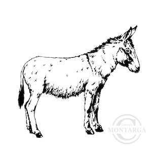 1206 F - Donkey Rubber Stamp