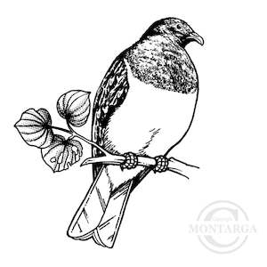 2000 G - Kererū on Kawakawa Branch Rubber Stamp