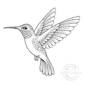 3619 G - Hummingbird Rubber Stamp