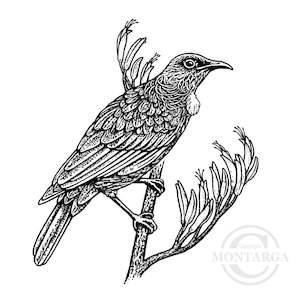 1999 G - Tui on Flax Branch Rubber Stamp