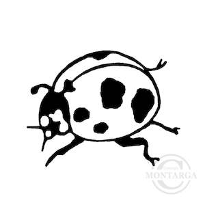 1323 A - Ladybird Rubber Stamp