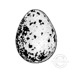 1394 C - Egg Rubber Stamp