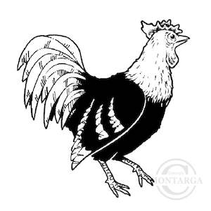 1346 D Rooster Rubber Stamp