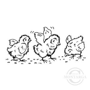 Birds Bees Butterflies: 1355 B Chicks Rubber Stamp