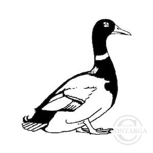 1311 C Duck Rubber Stamp