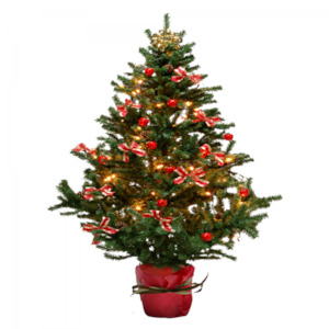 All: Christmas Tree Disposal