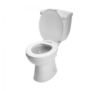 Products: Toilet Bowl & Toilet System Disposal