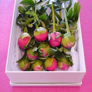 Florist: A Boxed Set - Peonies