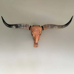 Carpet: Authentic Bronze Longhorn Skull