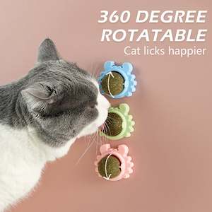 Natural Catnip Toys For Cats Edible Treats