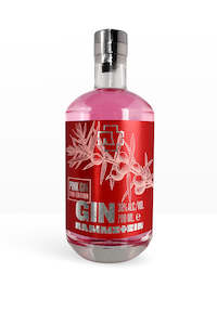 Rammstein Pink Gin Rhubarb Limited Edition