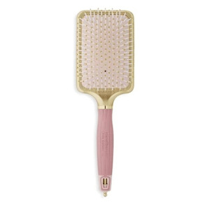 Internet only: NanoThermic Ceramic + Ion Paddle Brush