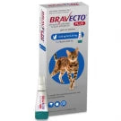 Store-based retail: Bravecto Plus for Cats