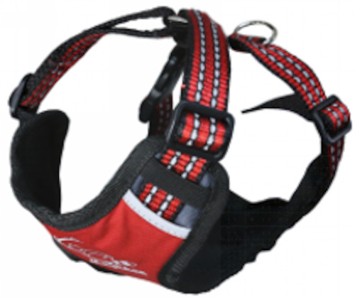 MayChan X-Sport Harness