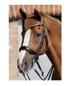 PE Abriano Anatomic Double Bridle