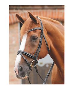 PE Bellissima Crank Bridle with Diamante Browband