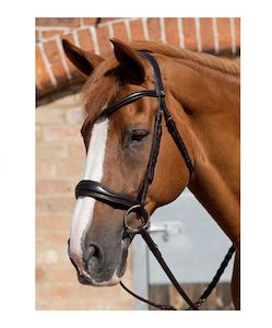 PE Verdura Anatomical Snaffle Bridle