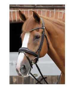 PE Stellazio Anatomical Snaffle Bridle with Flash