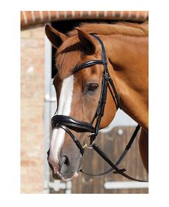 Store-based retail: PE Rizzo Anatomical Snaffle Bridle with Flash