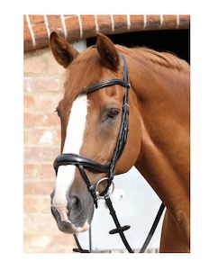 PE Savuto Anatomical Bridle with Crank Noseband & Flash