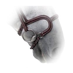 Silver Crown H Noseband