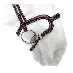 Silver Crown Bridle H Noseband Bridle